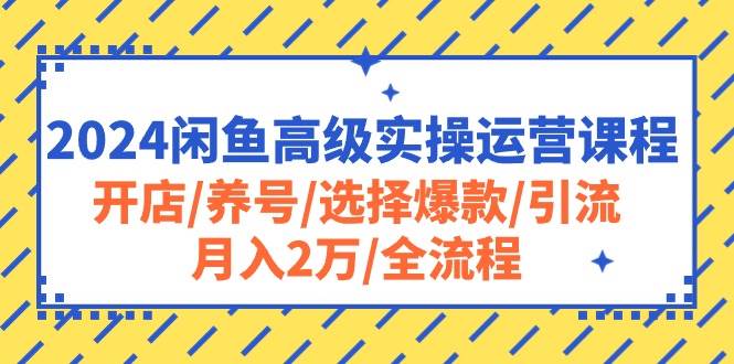 2024闲鱼高级实操运营课程：开店/养号/选择爆款/引流/月入2万/全流程鱼涯创客-网创项目资源站-副业项目-创业项目-搞钱项目鱼涯创客