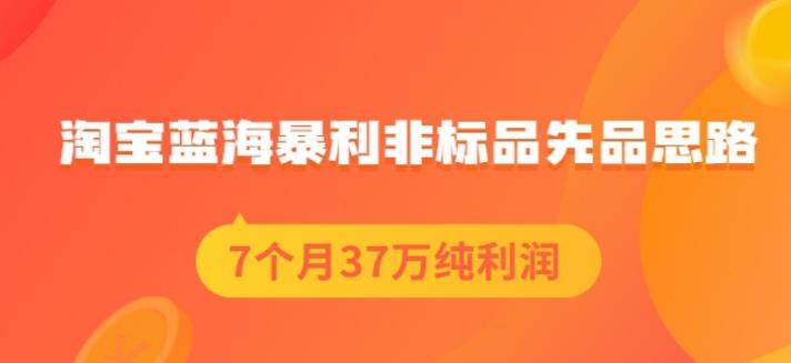 盗坤淘宝蓝海暴利非标品先品思路，7个月37万纯利润，压箱干货分享！【付费文章】鱼涯创客-网创项目资源站-副业项目-创业项目-搞钱项目鱼涯创客